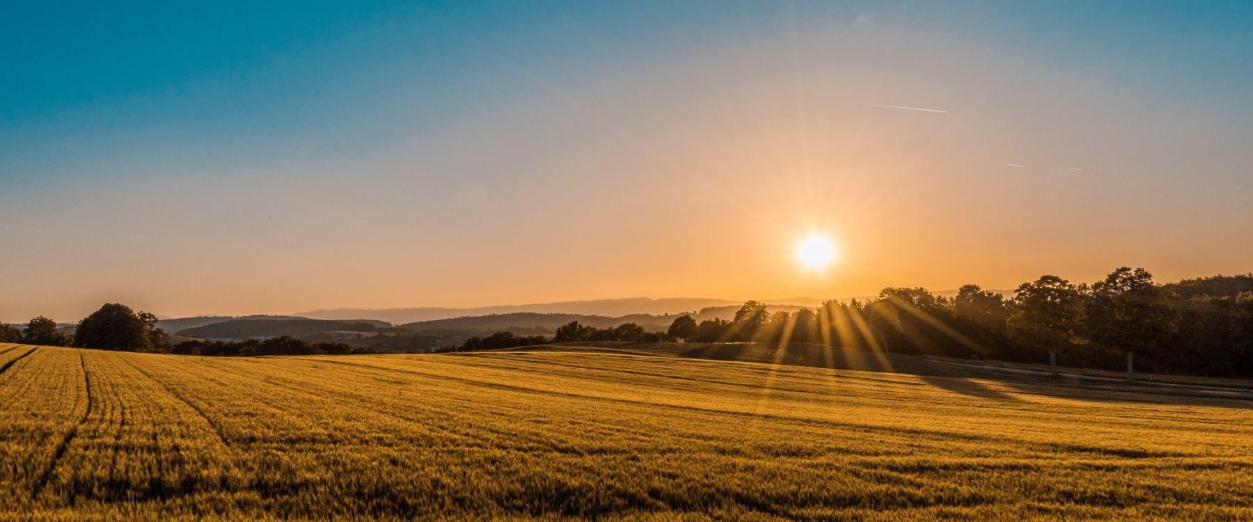 Foto: UNSPLASH | Federico Respini