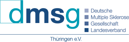 Logo dmsg
